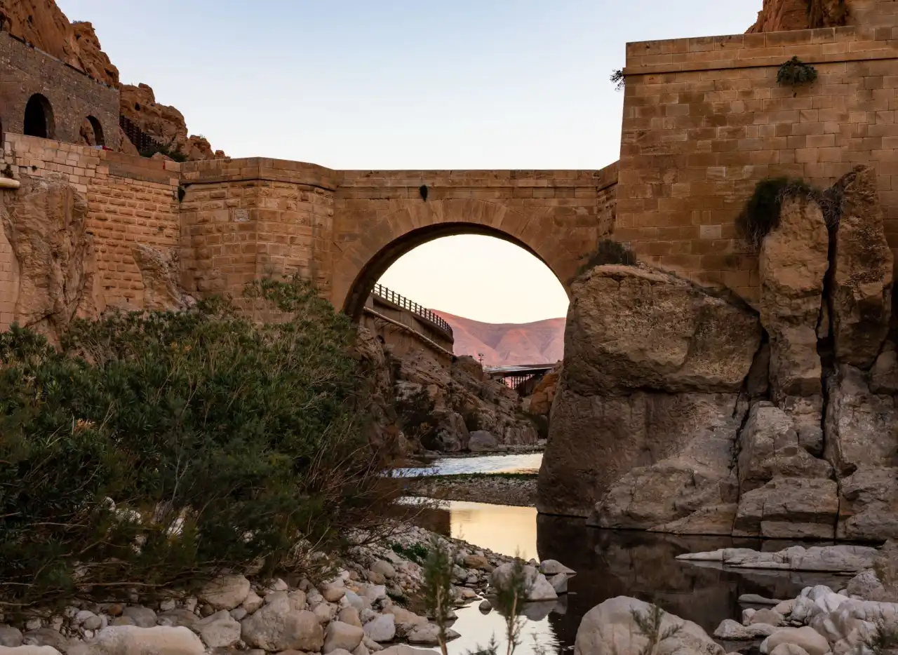 华中地区园林绿化工程中乡土苗木与外来景观植物的选择对比分析