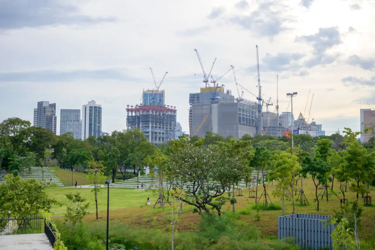 华中地区绿化苗木选购指南：丽来春科技常见品种规格与适用场景