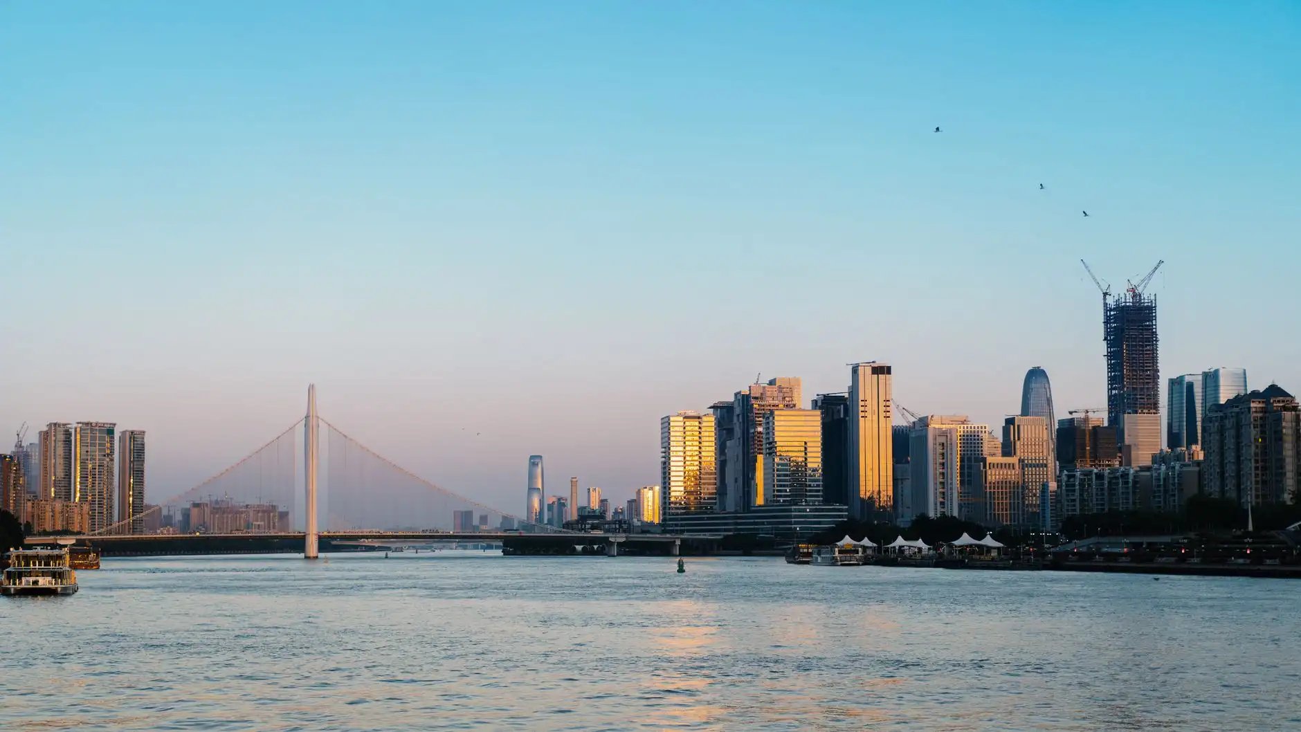 市政景观设计中的乡土植物应用：丽来春技术解析