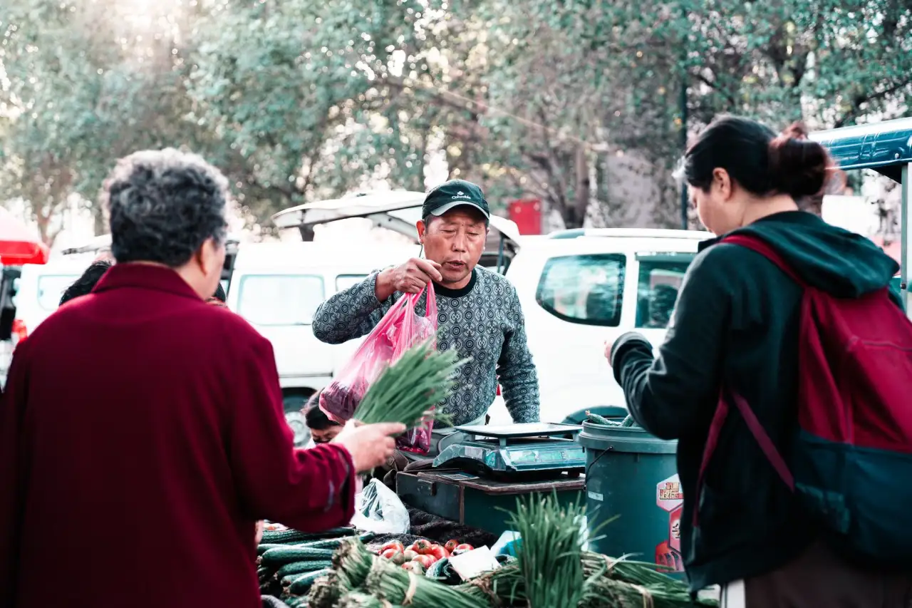 华中地区园林绿化工程中乡土树种与引进品种的搭配策略分析