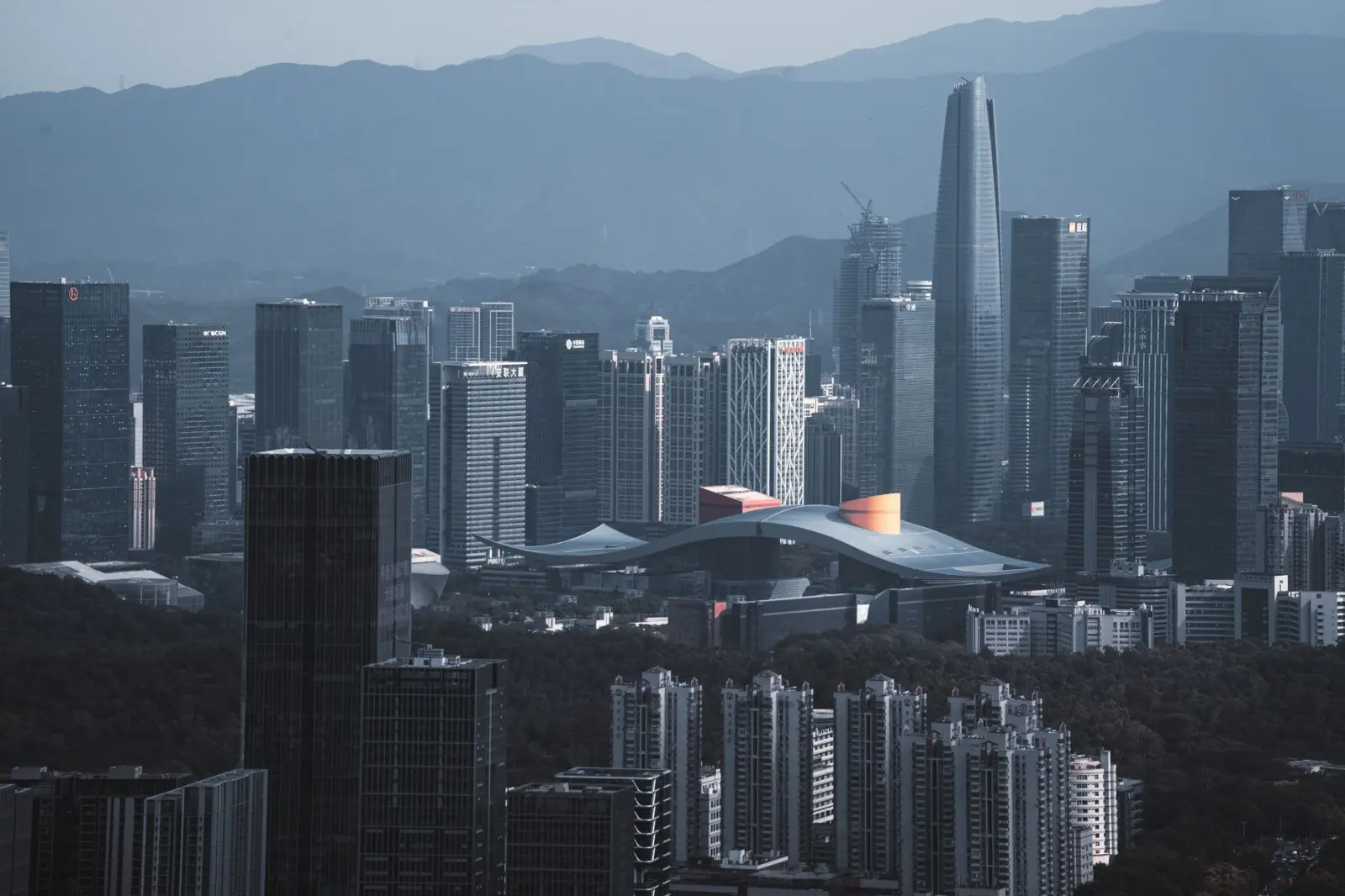 市政绿化项目景观设计要点与丽来春苗木供应协同优化实践