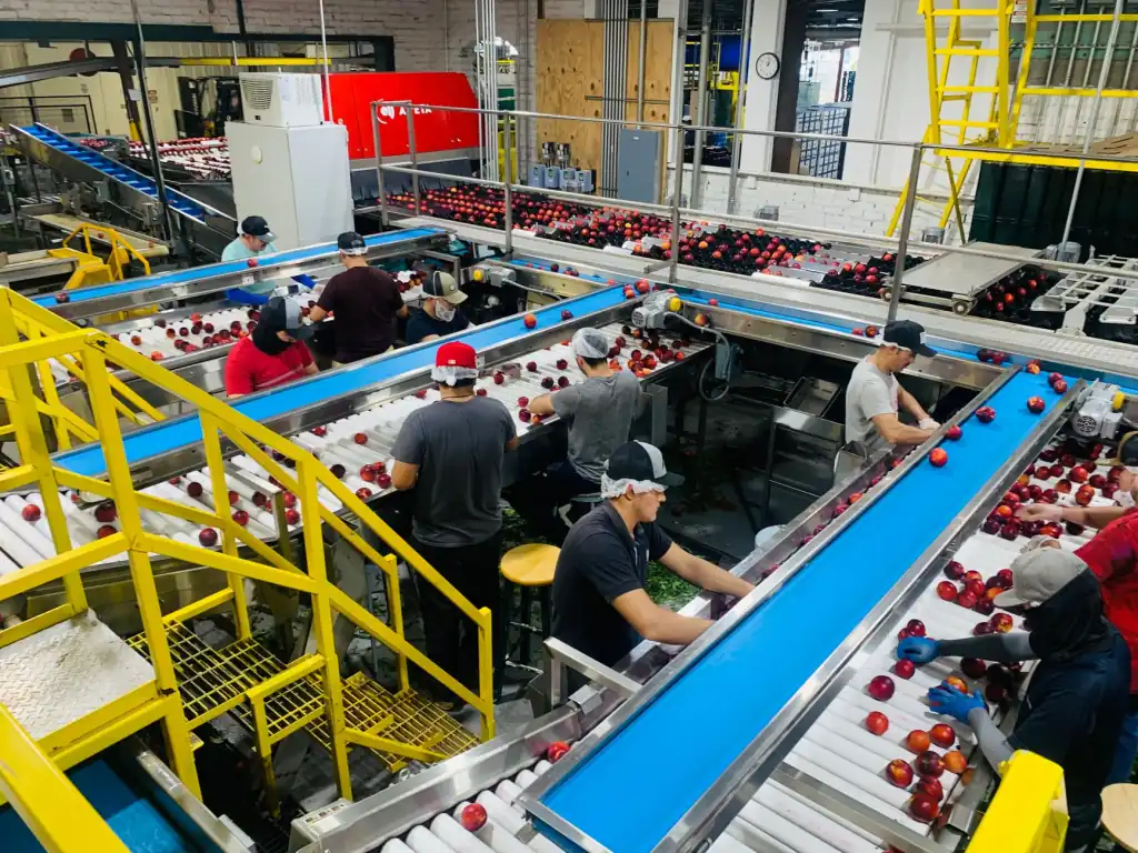 湖北地区园林景观设计常用苗木品种及选配方案