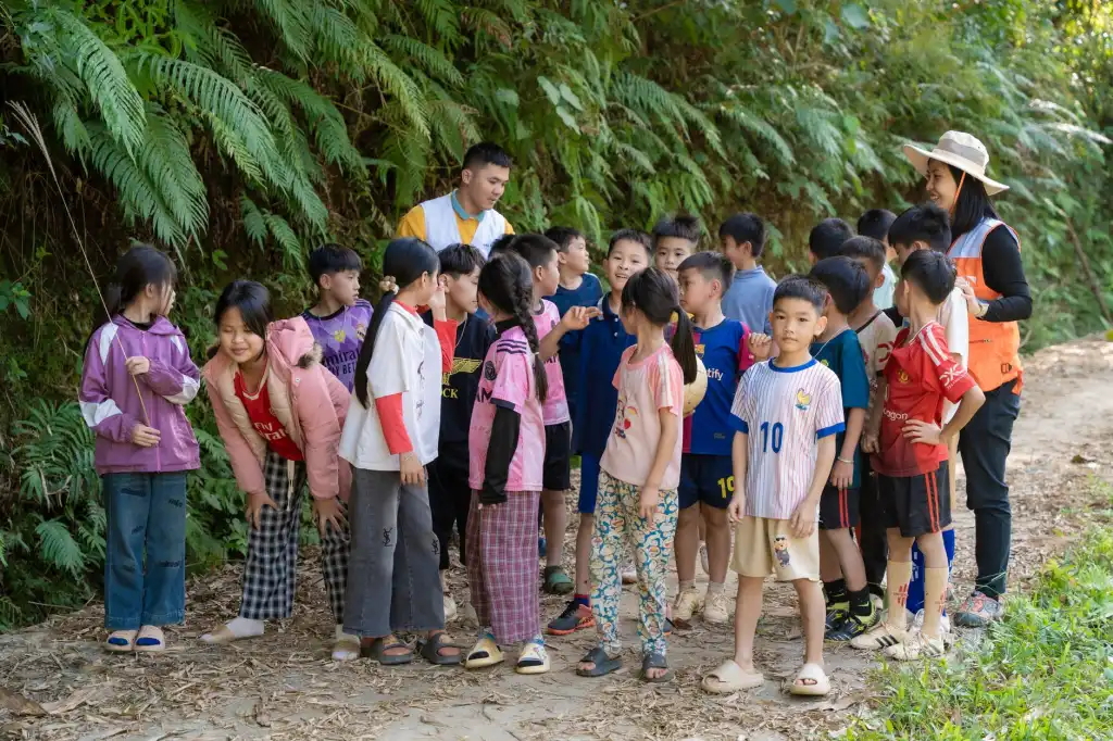 华中园林绿化工程中乡土树种的选择与应用技术解析