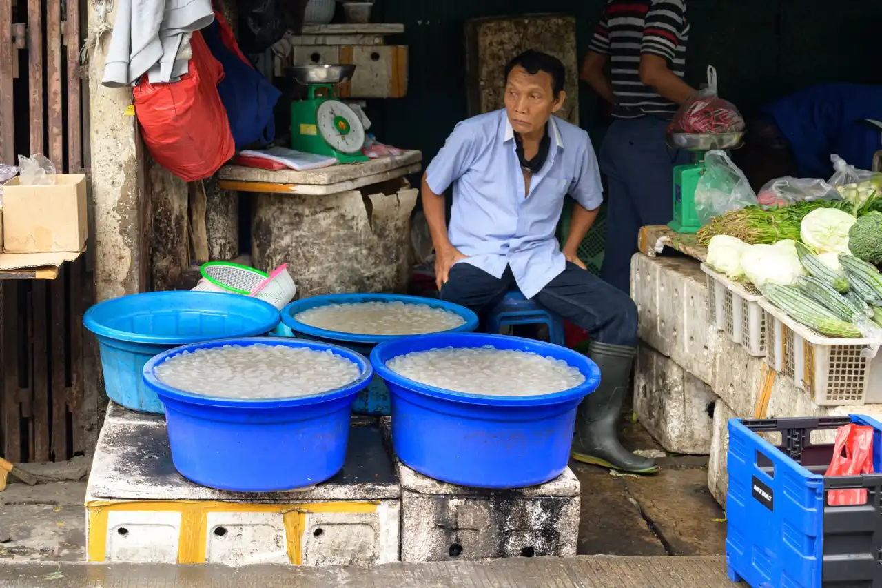 湖北省景观设计新趋势：海绵城市理念在市政绿化中的应用解析