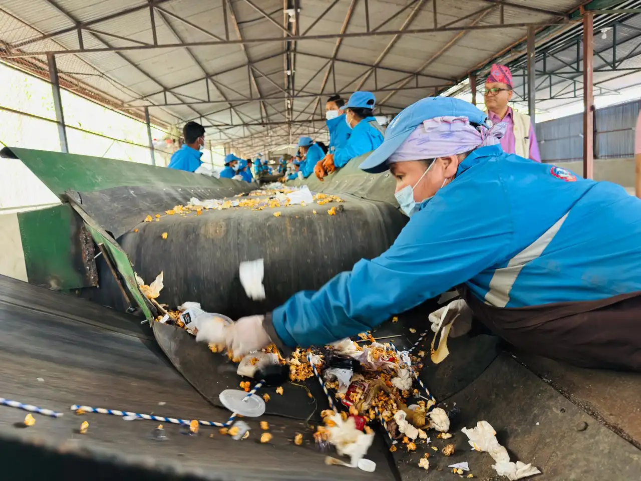 景观设计中的植物配置技巧：提升绿化效果与生态价值的实践方案