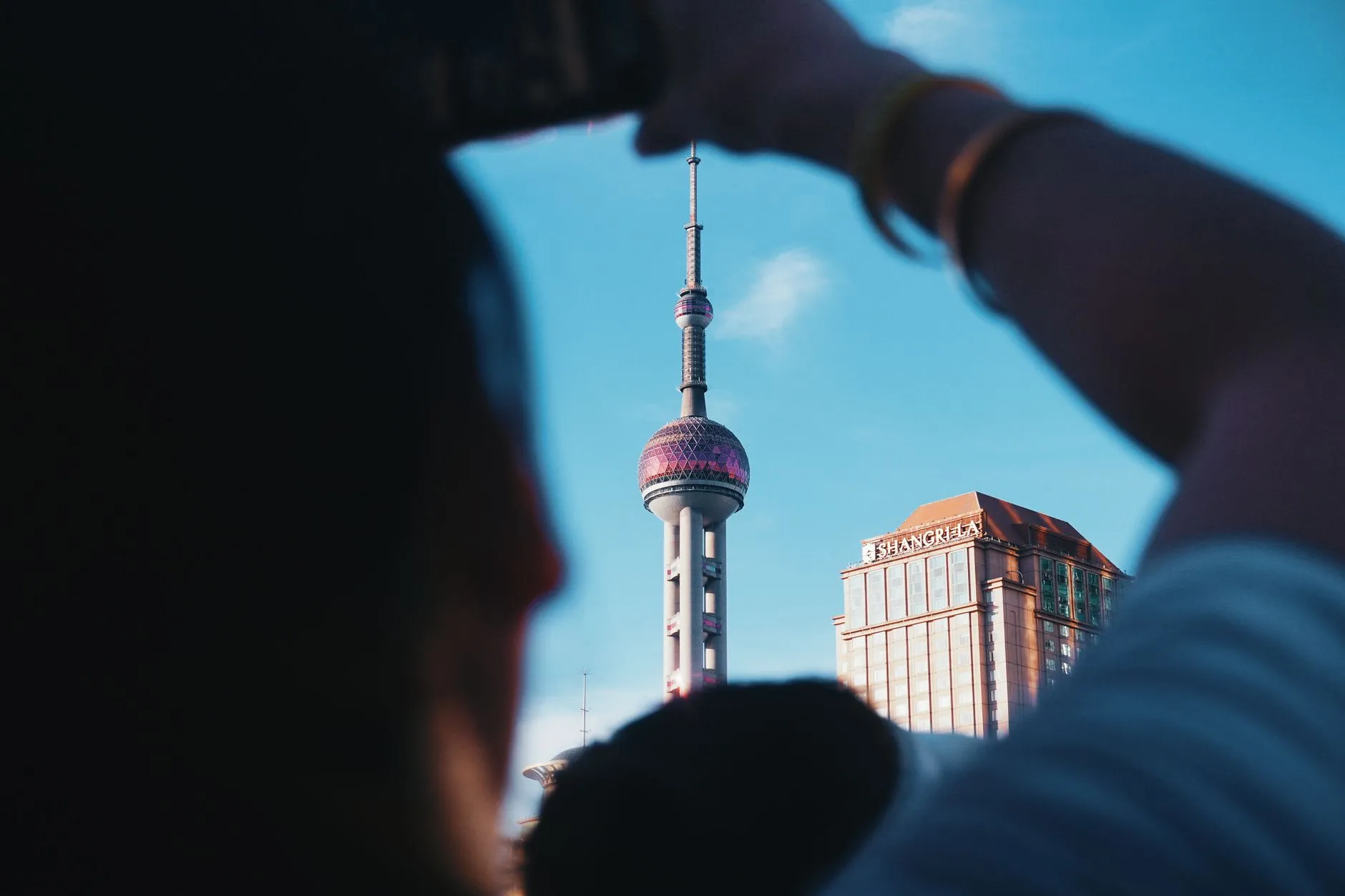 华中地区景观设计项目常用苗木品种对比与适配指南