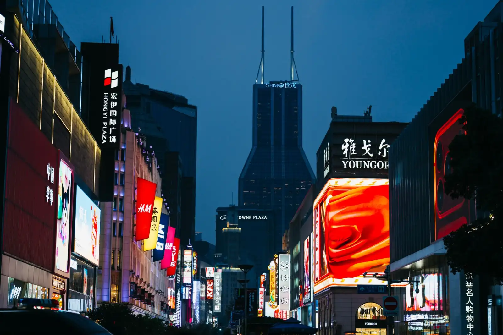 华中地区园林工程中乡土树种的应用优势与技术要点