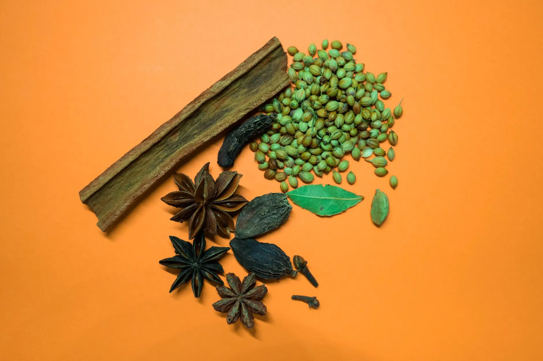 景观设计中乡土植物选配策略对生态效益的影响分析