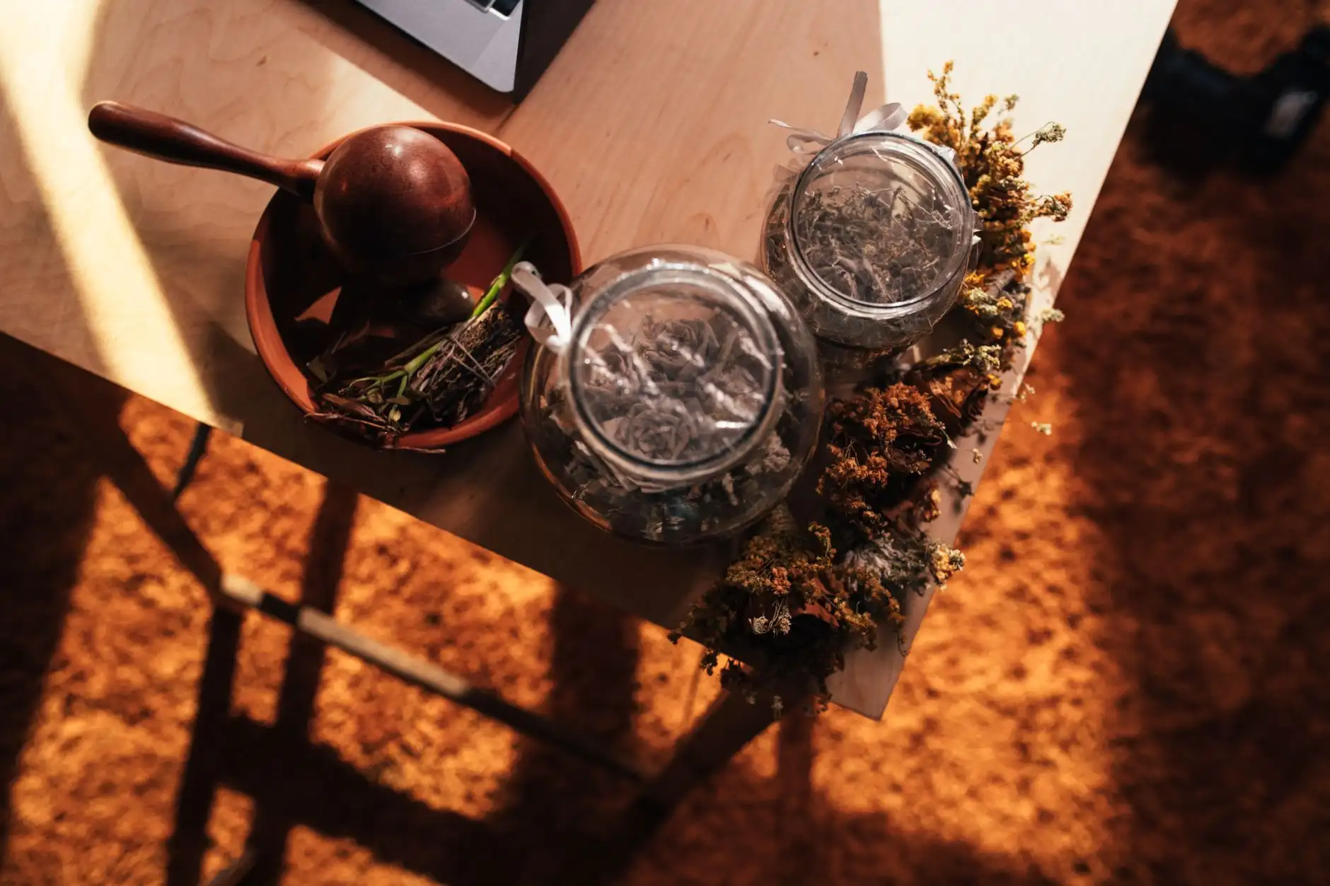 城市景观设计中的植物配置原则与乔灌木搭配方案