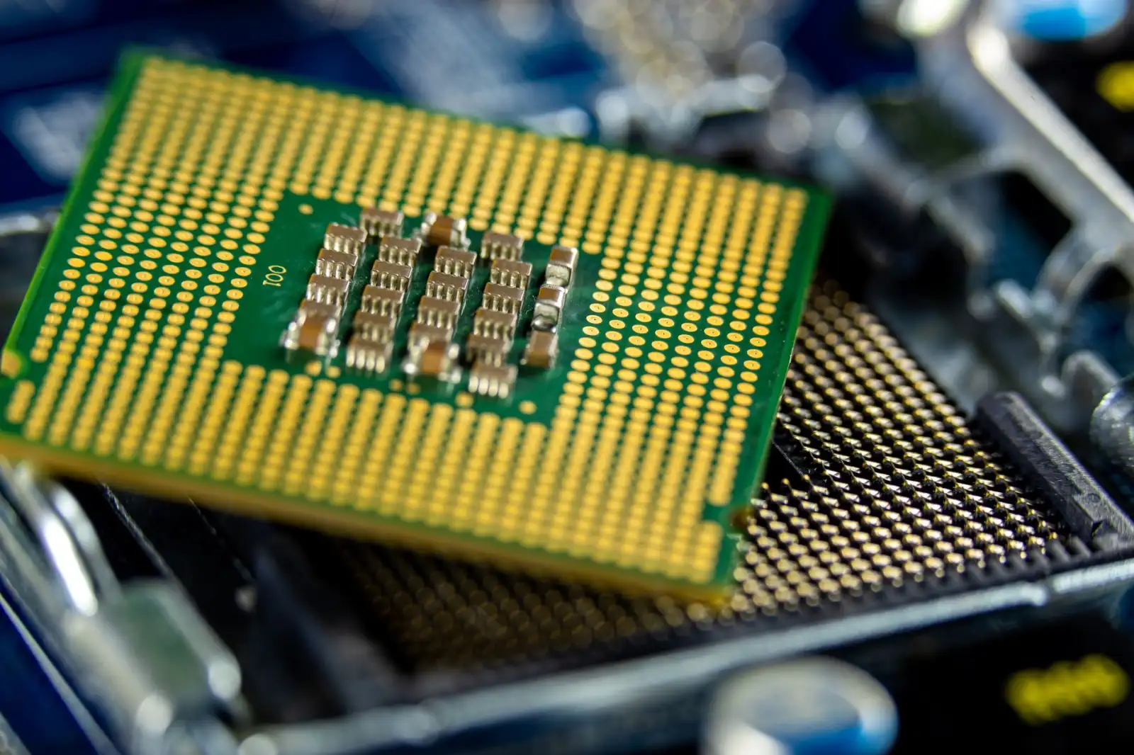 华中地区园林工程中苗木质量管控的关键技术要点解析