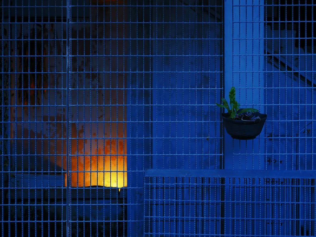 景观设计阶段如何科学搭配苗木以降低后期养护成本