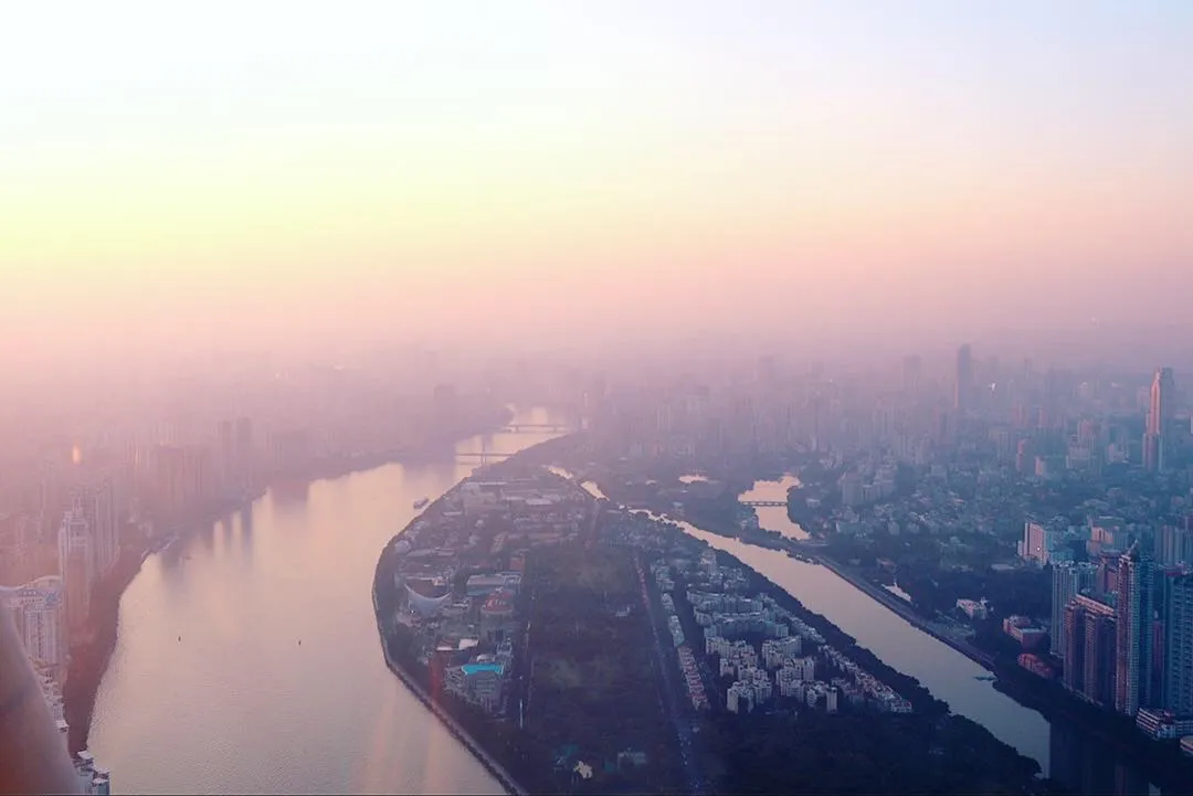 市政景观设计中的乡土植物应用：丽来春技术解析