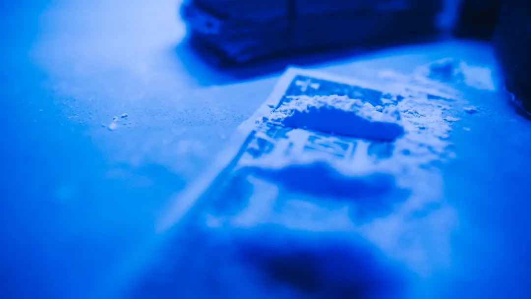 华中地区园林工程苗木供应方案及选配要点分析