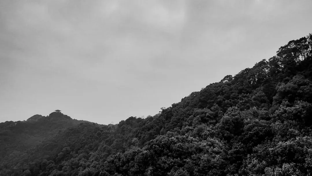 华中地区园林景观设计中乡土植物配置技术要点解析