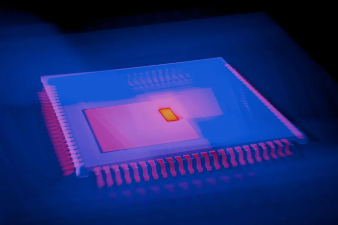 华中地区园林绿化苗木选择要点与景观适配性分析