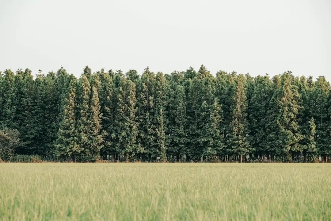 华中地区园林景观设计中乡土植物的应用优势与选配要点正文配图 2
