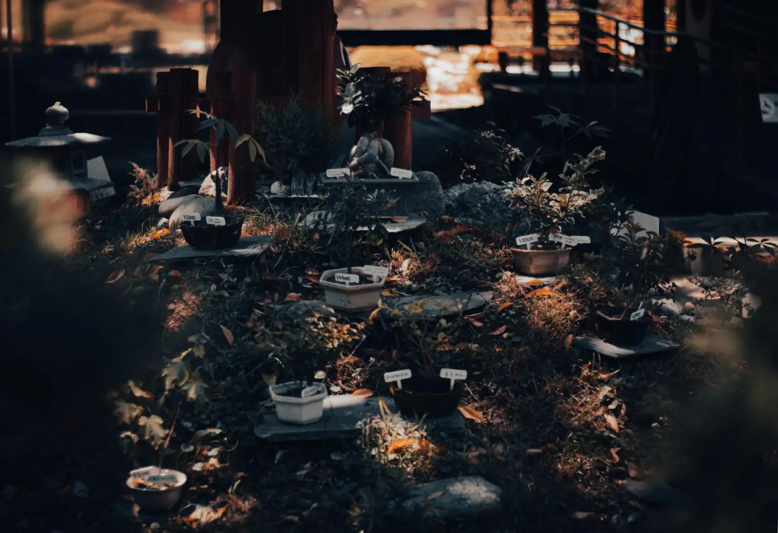 园林绿化与景观设计如何协同？湖北丽来春科技的一体化服务模式解析