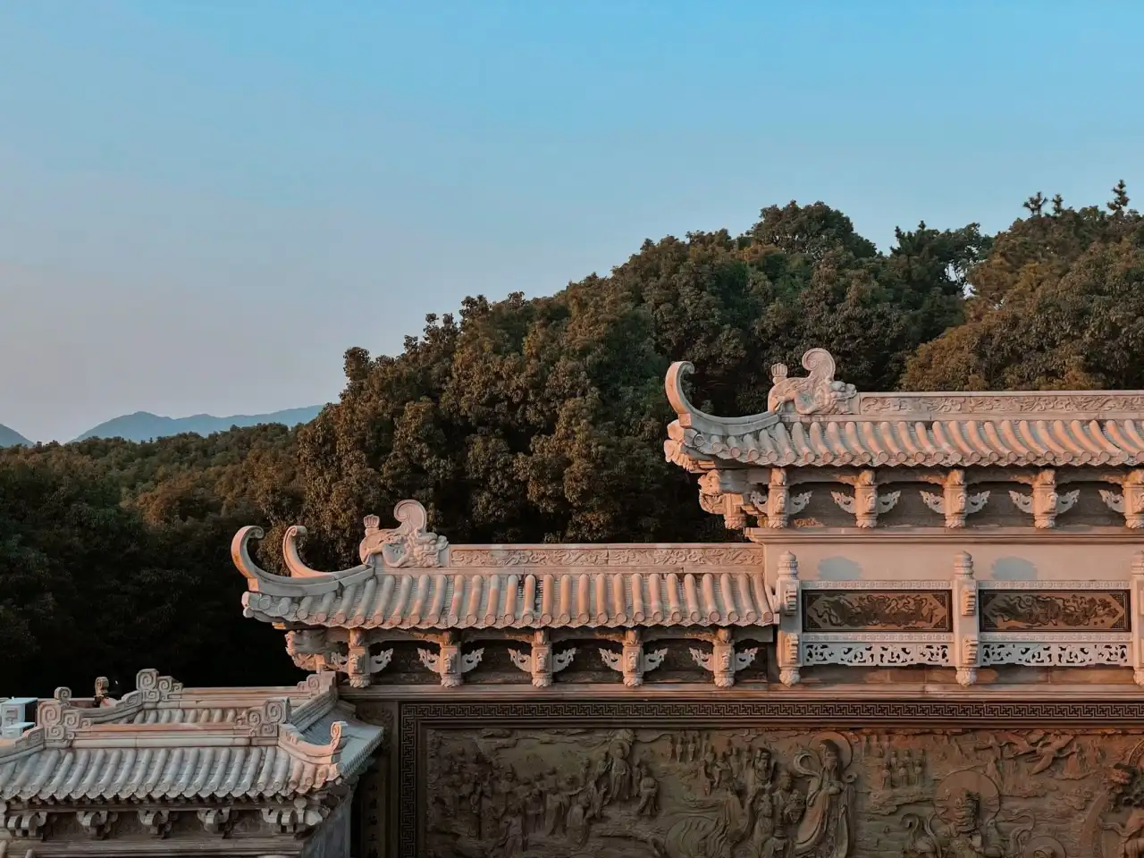 湖北市政绿化新趋势：丽来春科技谈乡土树种在景观设计中的应用
