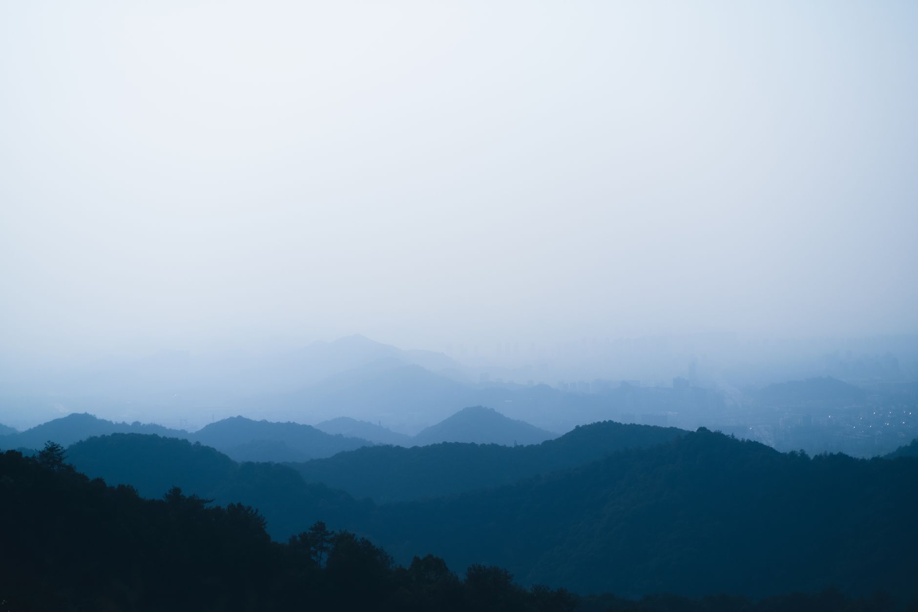 景观设计中乡土植物的应用优势与选配方案分析
