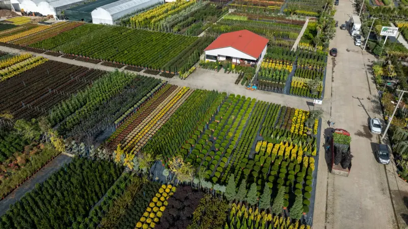 湖北市政园林绿化工程中乡土苗木与景观植物的科学配置方案正文配图 1