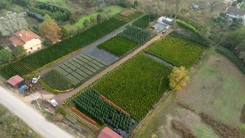 湖北市政园林绿化工程中乡土苗木与景观植物的选型趋势分析正文配图 1