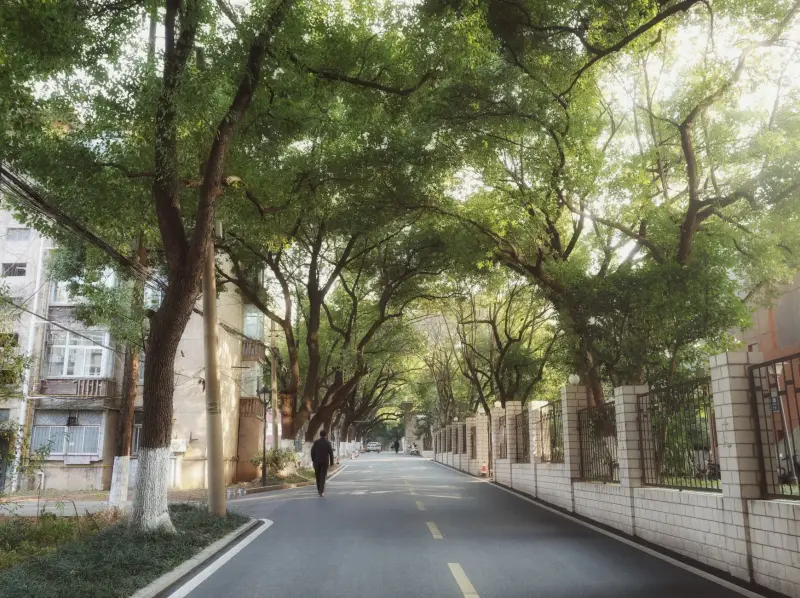 湖北市政绿化工程中景观植物的选择与配置要点正文配图 1