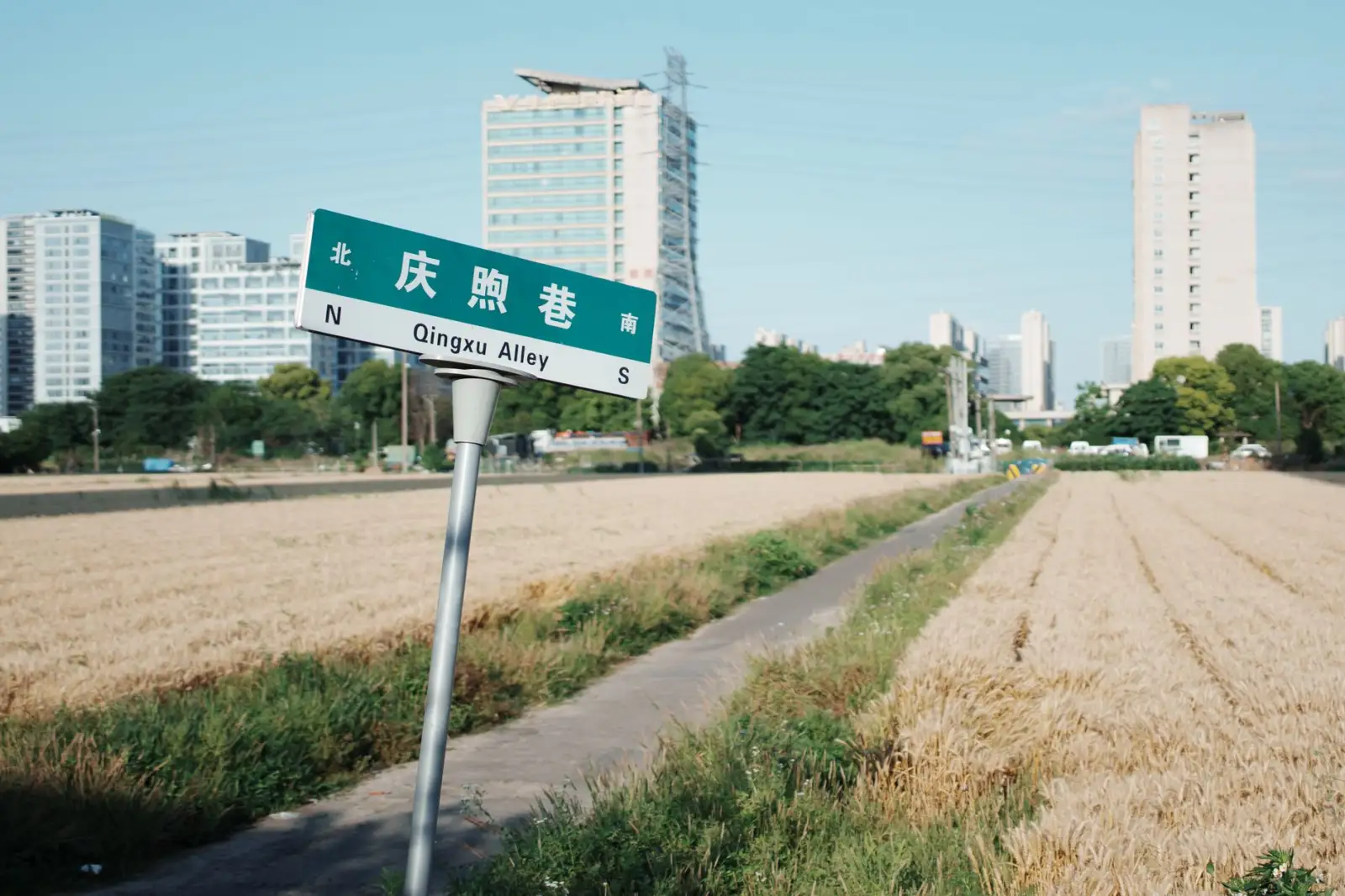 丽来春科技景观设计案例解析：从方案到落地的生态园林实践