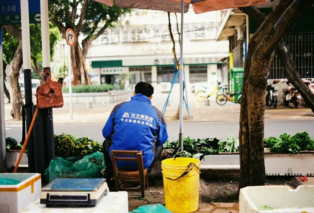 湖北地区园林绿化苗木选配指南：适生品种与景观效果分析