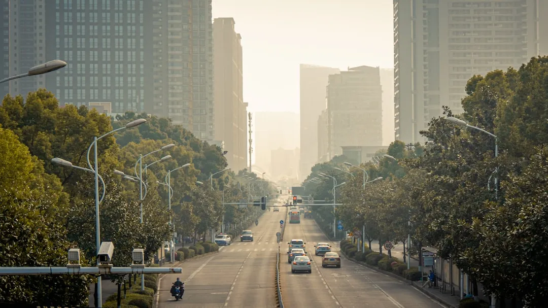 湖北市政绿化新趋势:丽来春科技谈乡土树种在景观设计中的应用正文配图 2