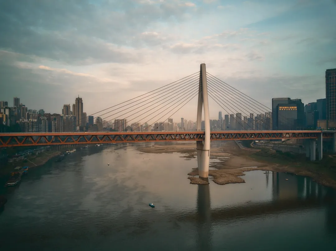 湖北市政道路绿化工程中景观设计与苗木供应的协同实施要点