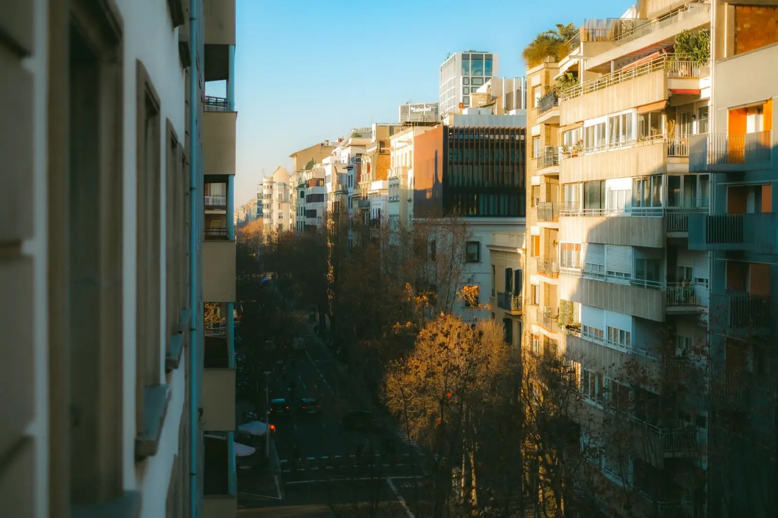 湖北省丽来春科技：市政道路绿化工程的苗木选型与景观设计要点解析正文配图 1