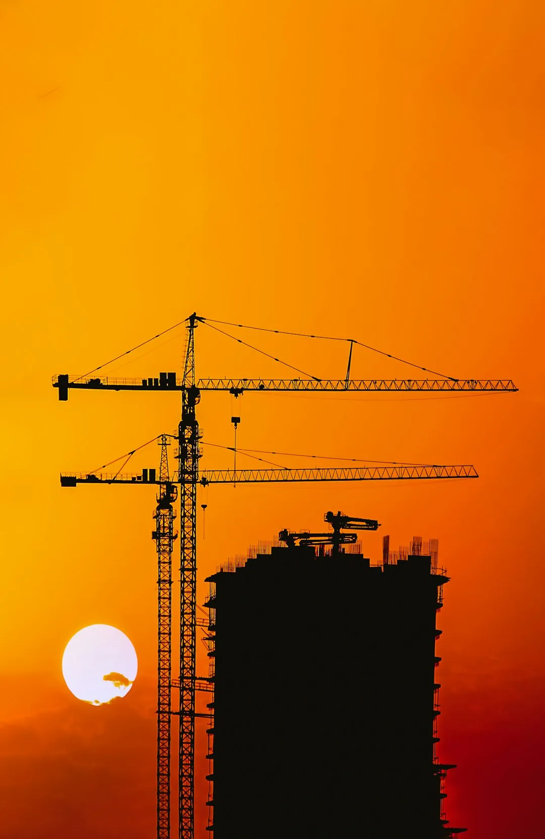 2025年华中地区园林绿化工程苗木选配新趋势与要点分析