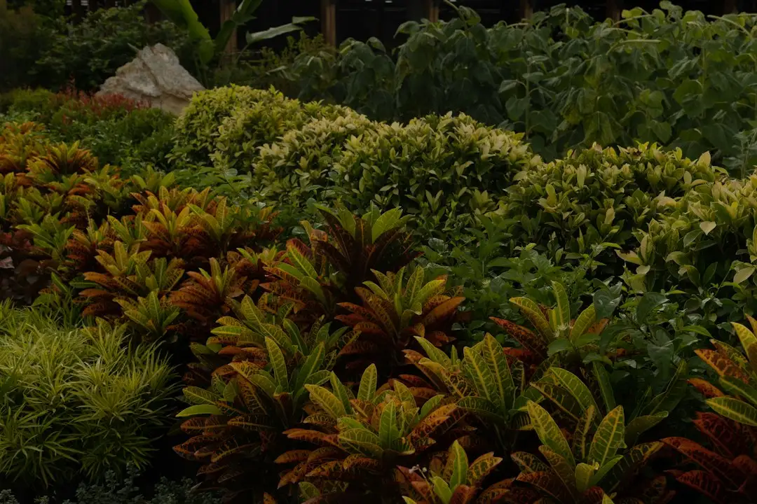 湖北市政园林绿化工程中乡土苗木与景观植物的选配策略分析正文配图 2