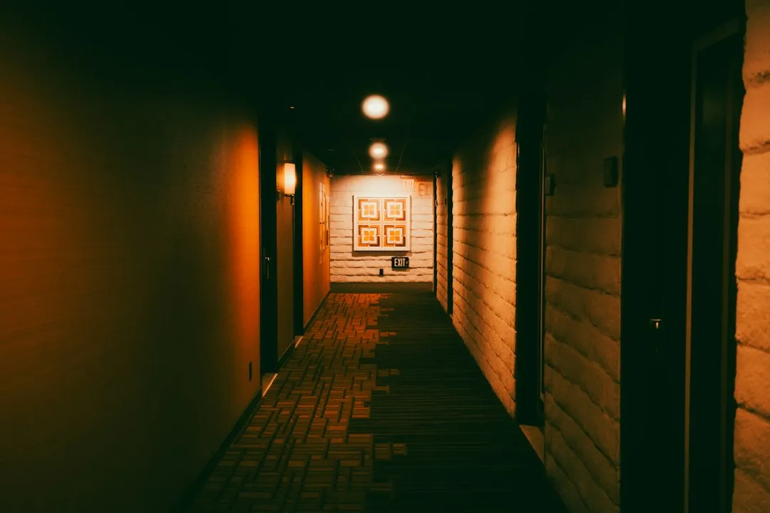 华中地区绿化苗木选购指南：丽来春科技常见品种规格与适用场景