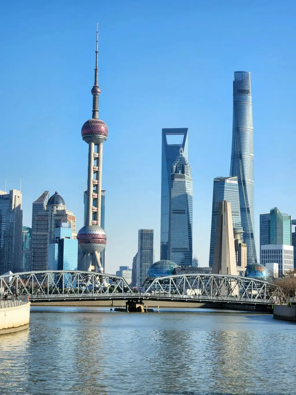 园林绿化工程中苗木成活率低的原因分析与种植技术优化方案